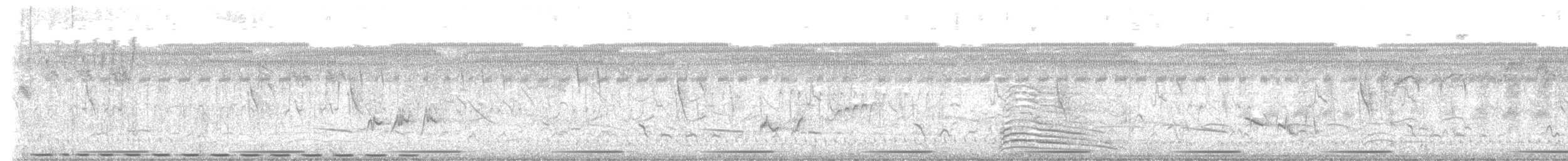 Red-chested Flufftail - ML632036039