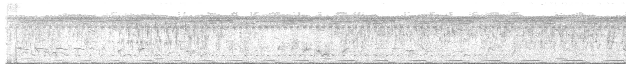 Red-chested Flufftail - ML632036040