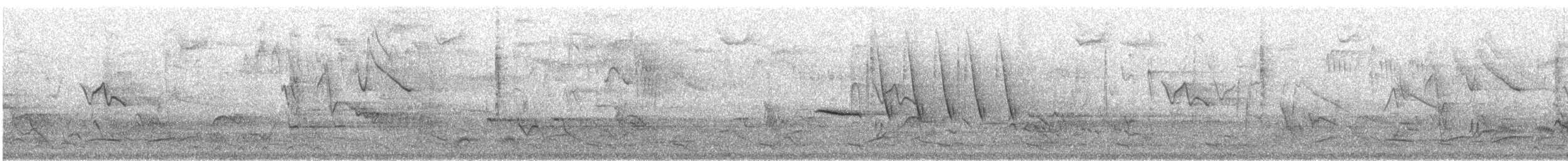 キメジロハエトリ - ML632048646