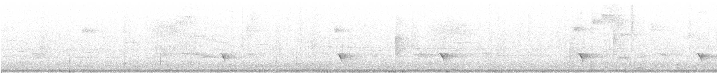 Guatemalan Tyrannulet - ML632050341