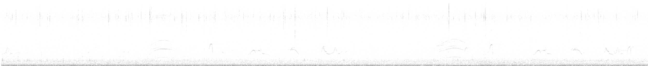 Western Screech-Owl - ML632051672