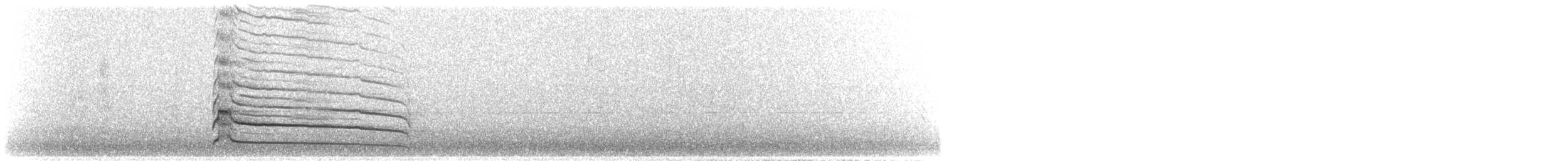 rapace sp. - ML632056913