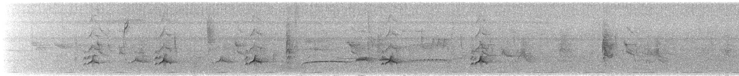 mørkhettetyrann (lawrenceii gr.) - ML632058217