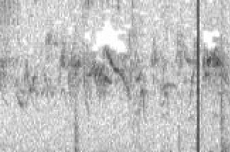 Evening Grosbeak (type 1) - ML632060188