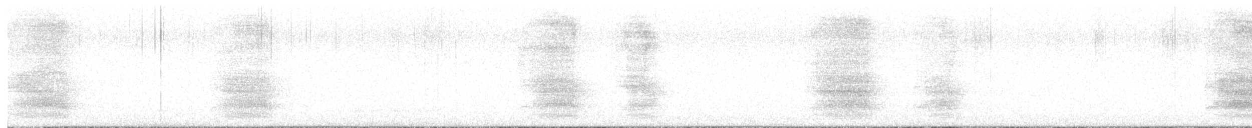 Geai de Steller (groupe diademata) - ML632062535