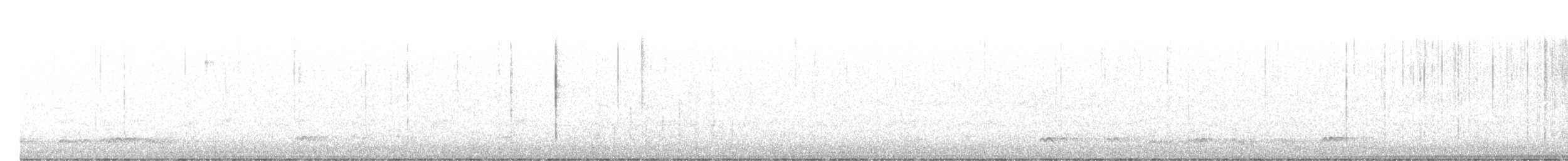 Codone - ML632063431