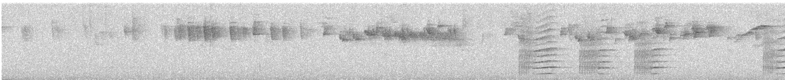 Plate-billed Mountain-Toucan - ML632063531