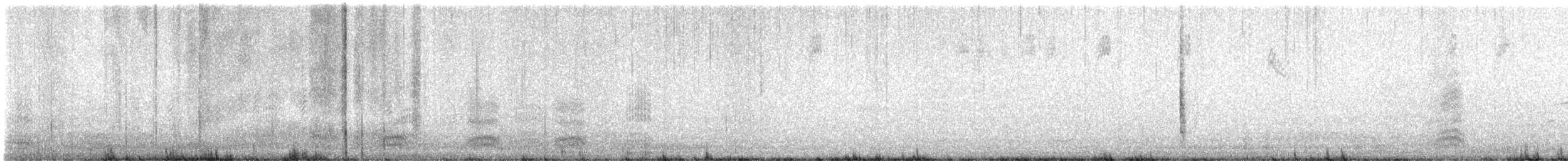 Western Gull - ML632065582