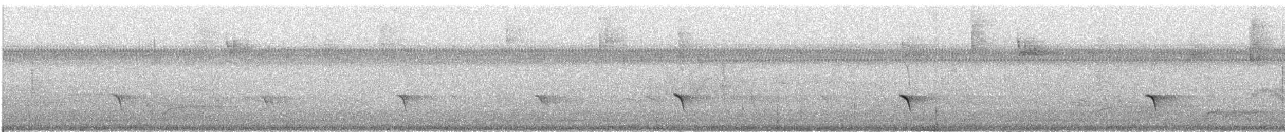 Guatemalan Tyrannulet - ML632066325