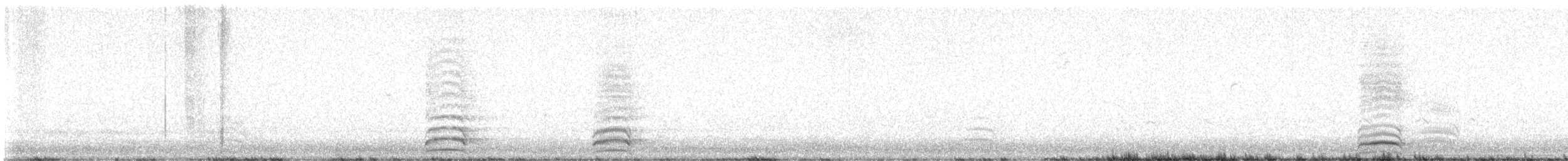 Western Gull - ML632066763