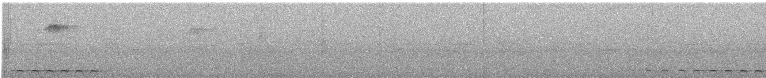 Lattice-tailed Trogon - ML632067671