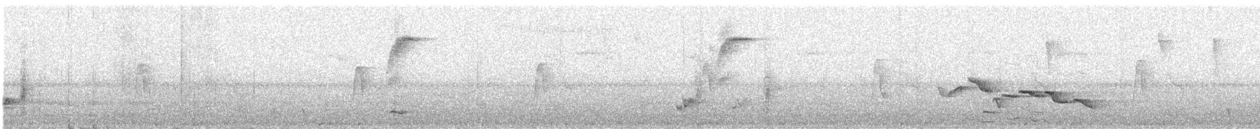 Spot-breasted Wren - ML632067799