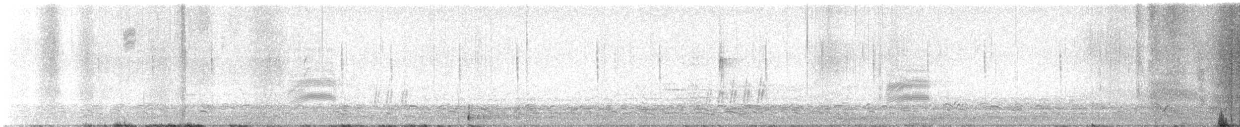 Bewick's Wren - ML632072209