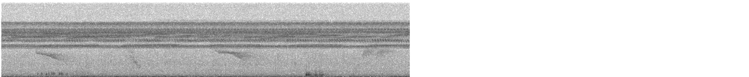 Dot-backed Antbird - ML632072341