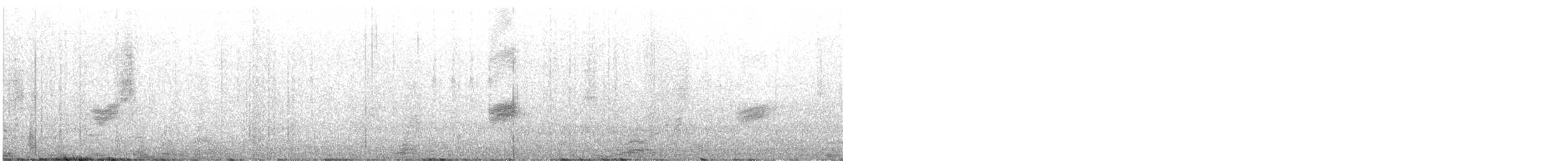 Hirondelle gracieuse - ML632074781