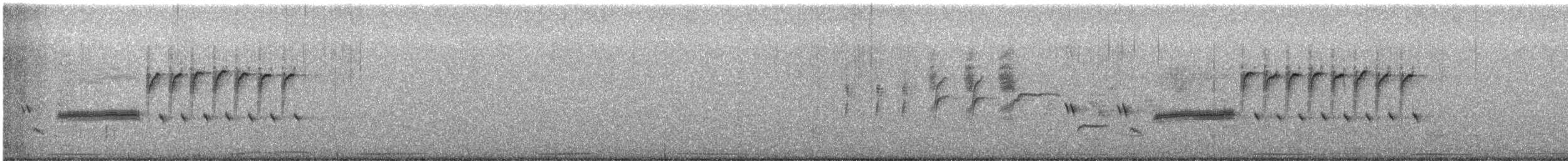 Bewick's Wren - ML632074787