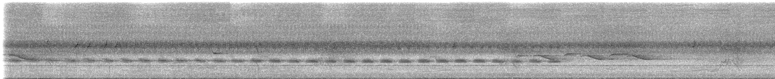 Sahul Cicadabird - ML632076500