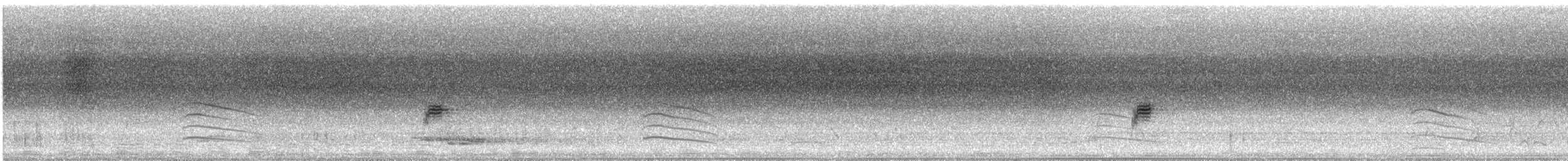 クロオビミツスイ - ML632076732