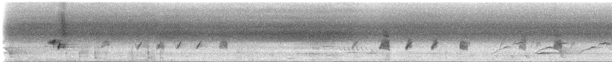 クロオビミツスイ - ML632076748