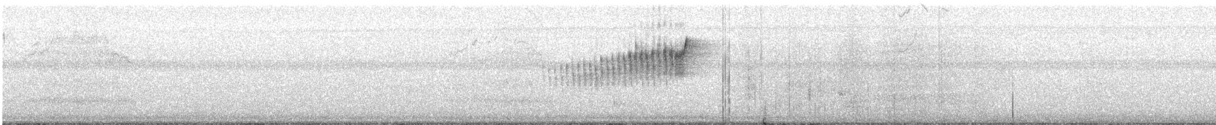 Northern Parula - ML632077614