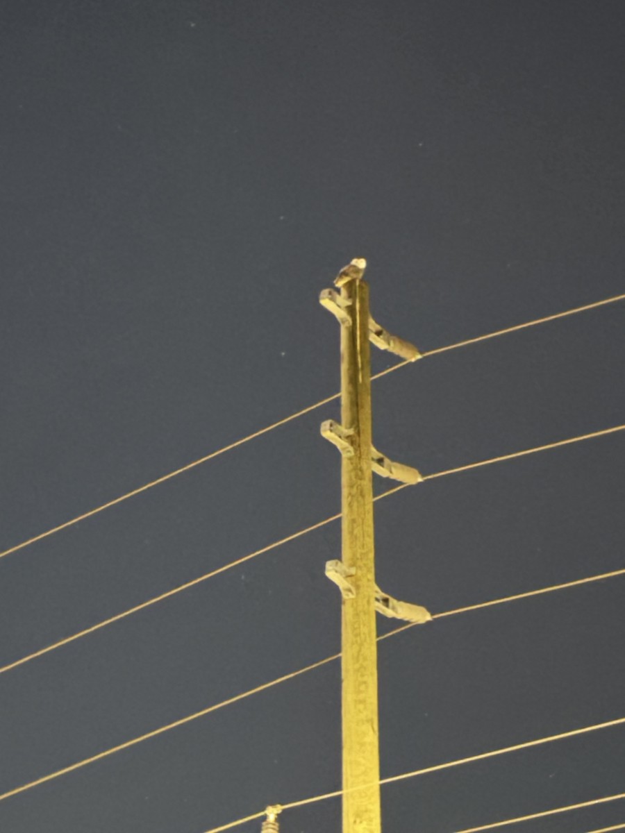 Snowy Owl - ML632079830