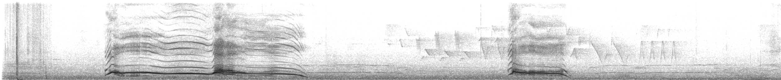 Coyote - ML632080304