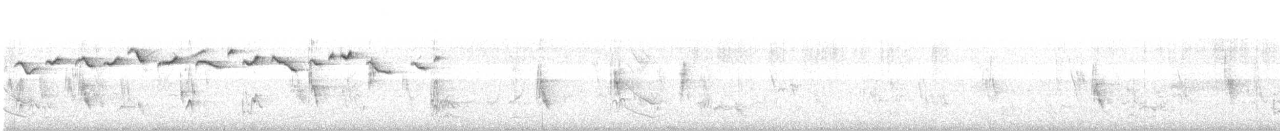 Salpornis tacheté - ML632081129