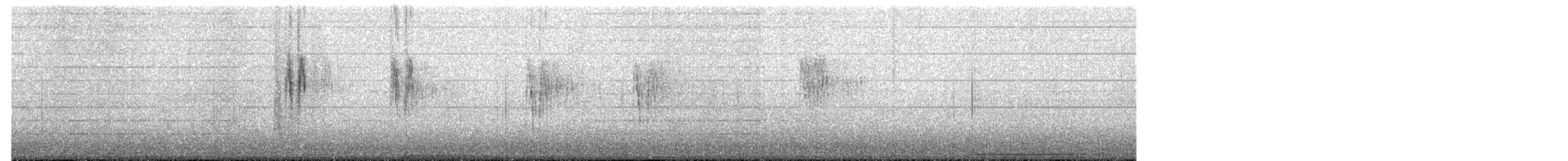 ハクセキレイ - ML632082532