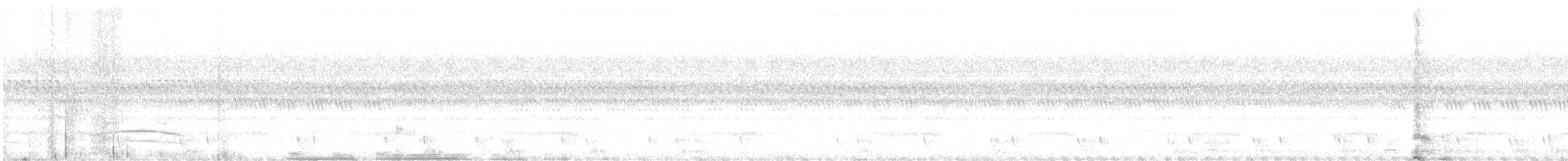 Large-tailed Nightjar - ML632087887