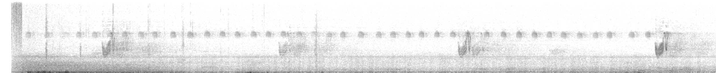 gressnattravn (monticolus gr.) - ML632087937