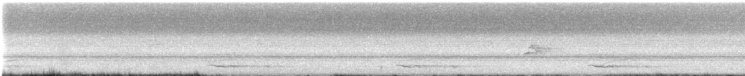 Piratic Flycatcher - ML632088622