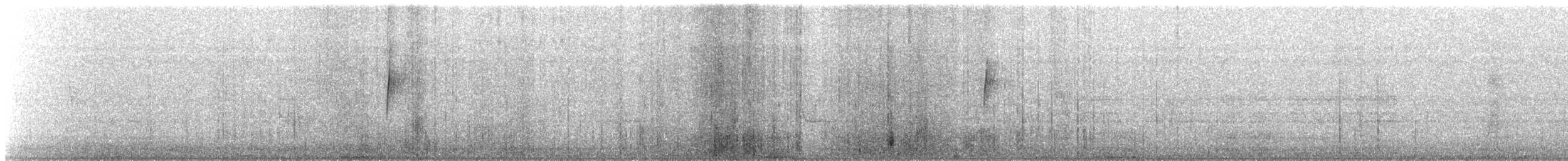 Gray-flanked Cinclodes - ML632089038