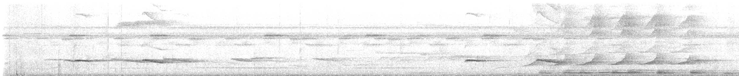 Hormiguero Dorsicastaño - ML632089780