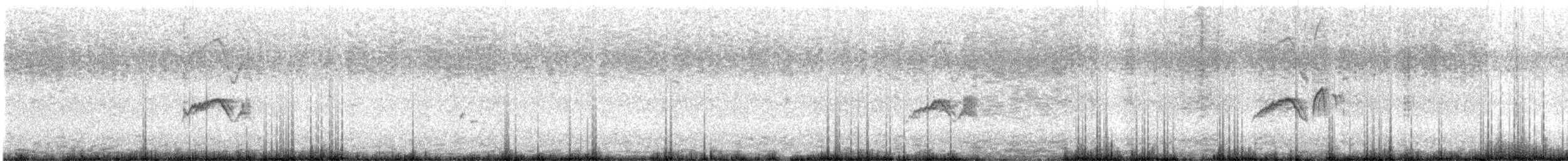 ツキヒメハエトリ - ML632092489