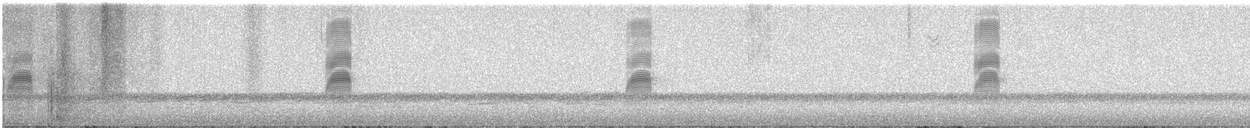 American Woodcock - ML632099219