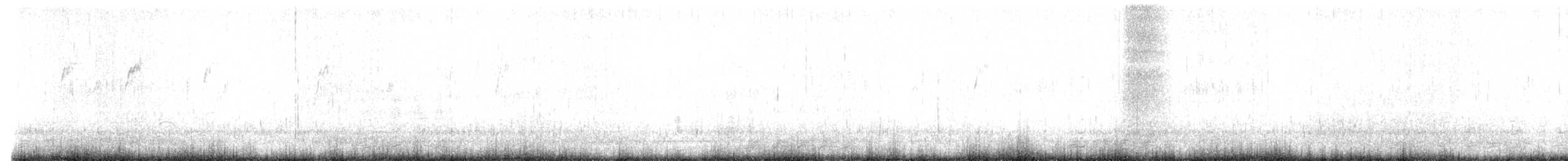 Spioncello marino - ML632103898