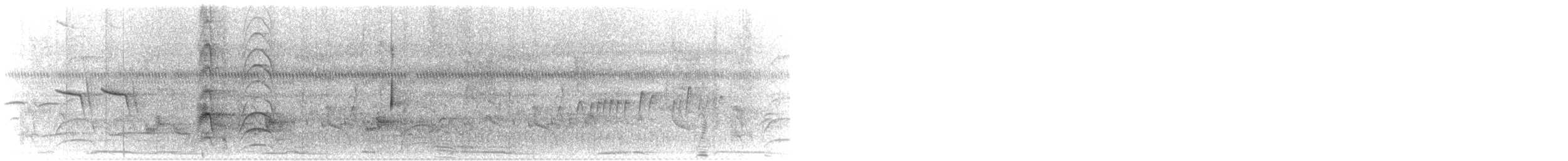 ズグロエンビタイランチョウ（monachus） - ML632104350