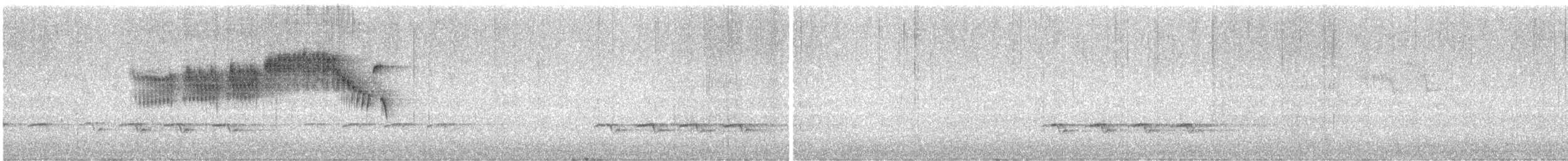 Northern Parula - ML632105825