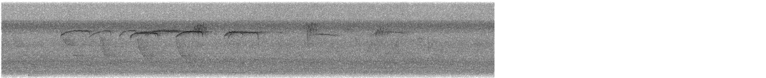 Ampelis Americano - ML632106524