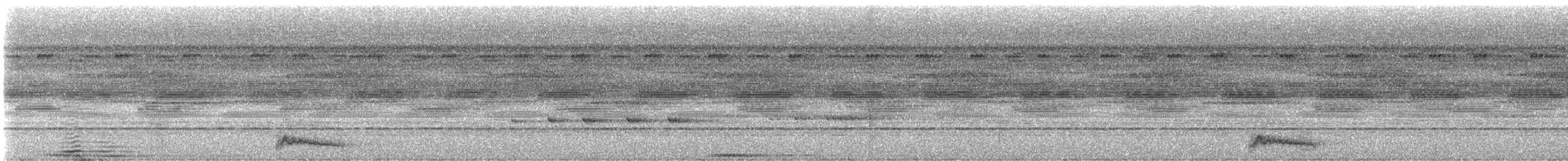 Ocellated Poorwill - ML632113767