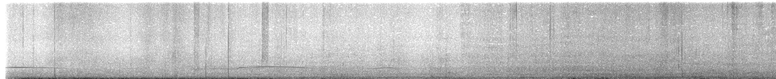 Black Scoter - ML632114909