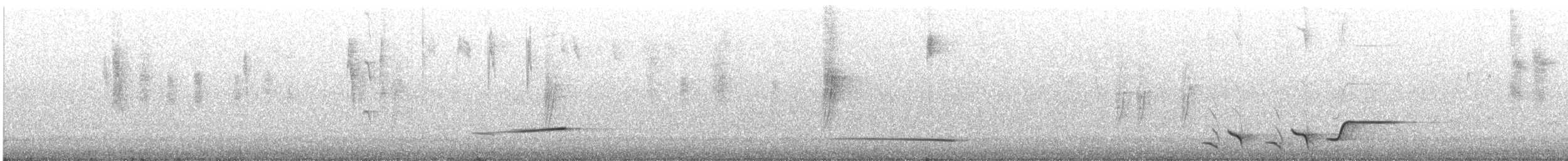 Picanzo Gris - ML632119587