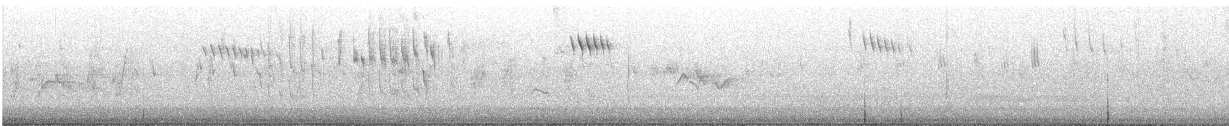 Maluro Soberbio - ML632119593
