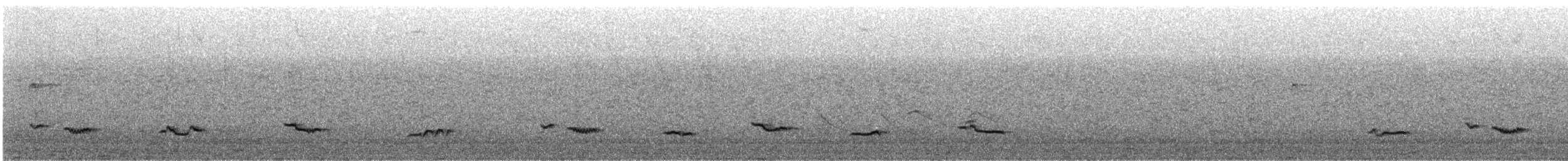 ココアムジツグミ - ML632120835