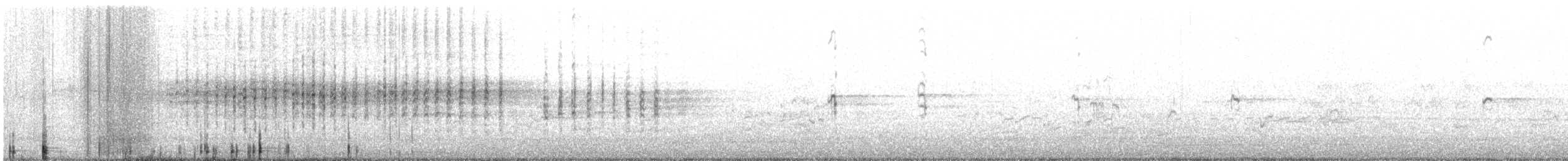 Australasian Grebe - ML632125068