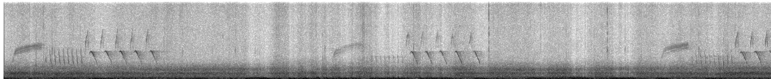 Troglodyte de Bewick - ML632126649