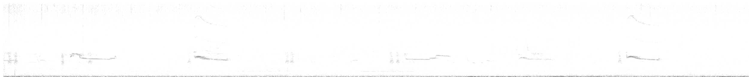 Say's Phoebe - ML632129898