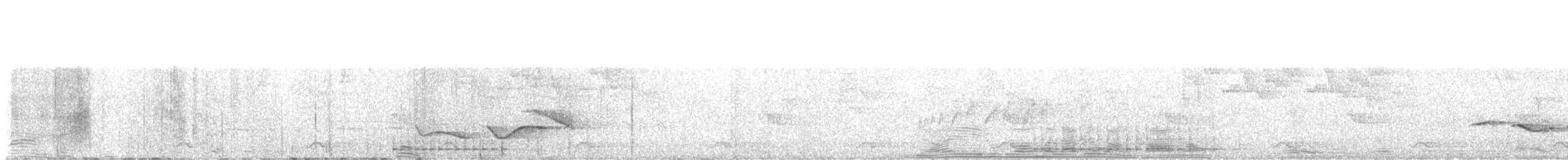 Necklaced Woodpecker - ML632133886