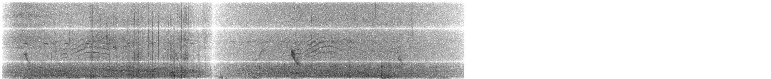 Paseriforme sp. - ML632134173
