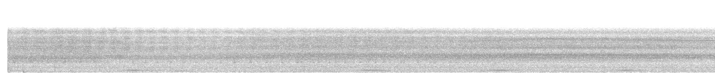 Phasianelle onchall - ML632136619